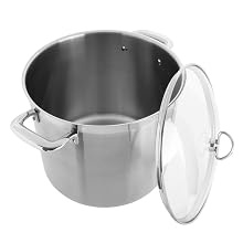 Chantal Induction 21 12 Qt Stainless Steel Stockpot with Tempered Glass Lid