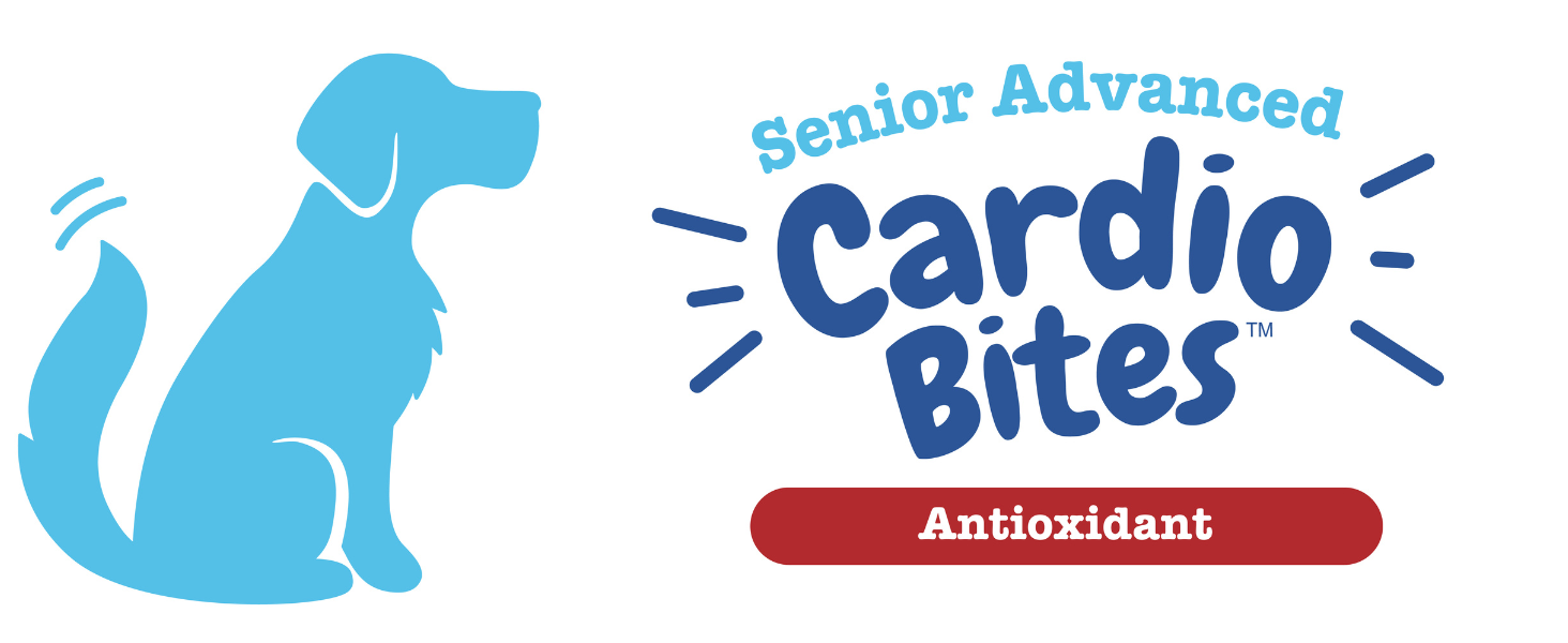 senior advanced cardio bites