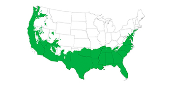 Fuyu Persimmon Tree grow zones