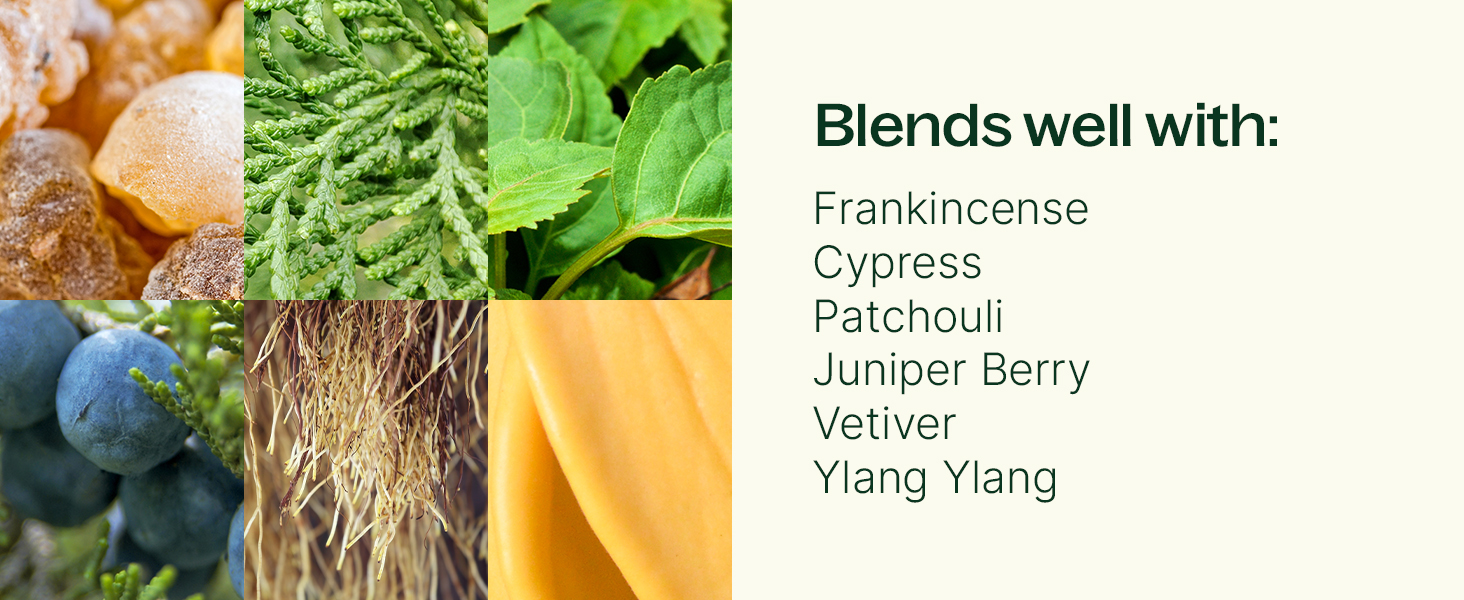 blends with
