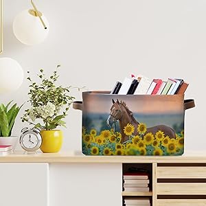 Desktop Storage