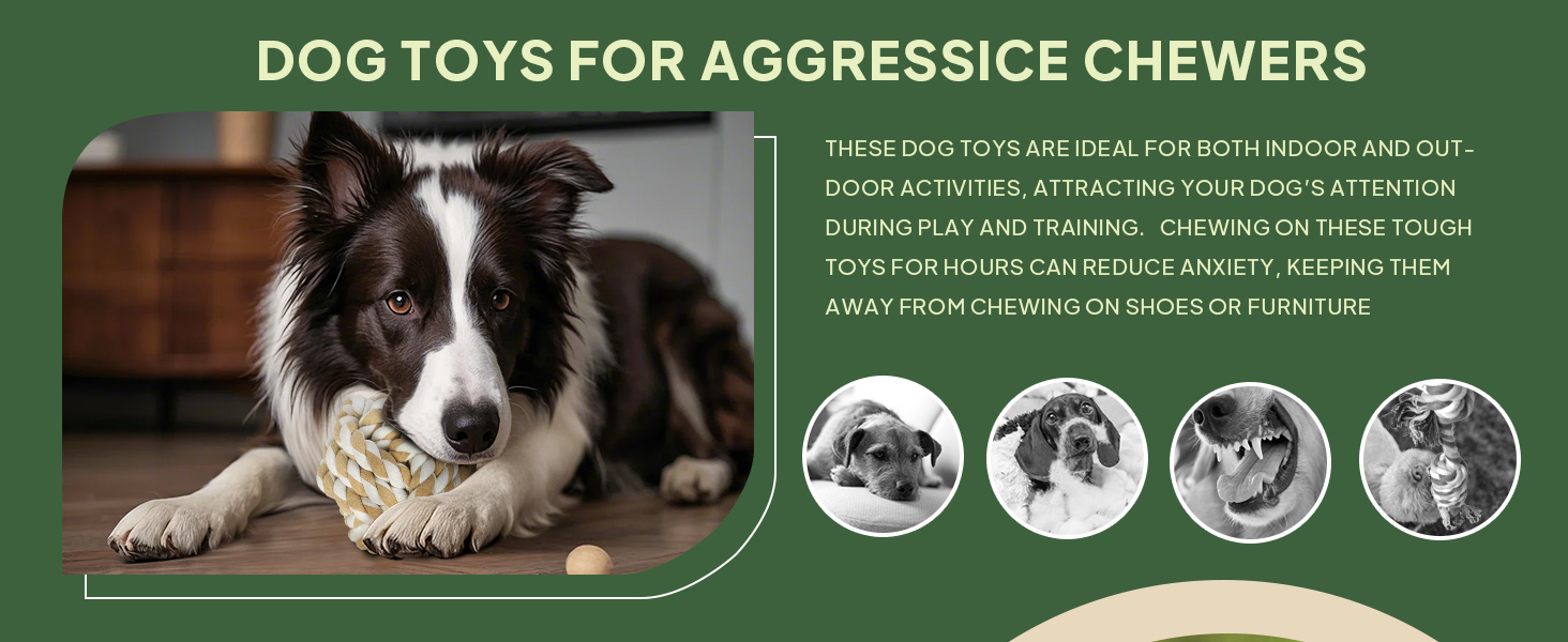 dog rope toys