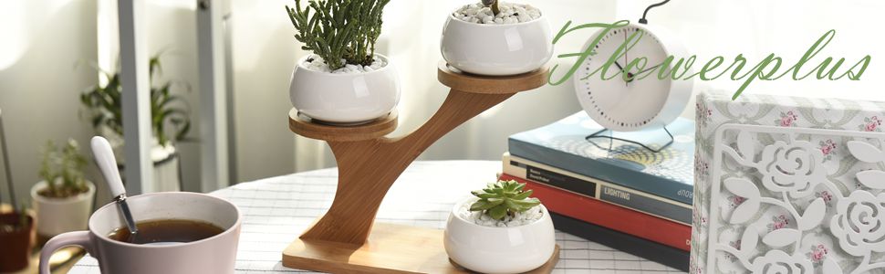 Flowerplus Round Succulent Planter With Bamboo Stand