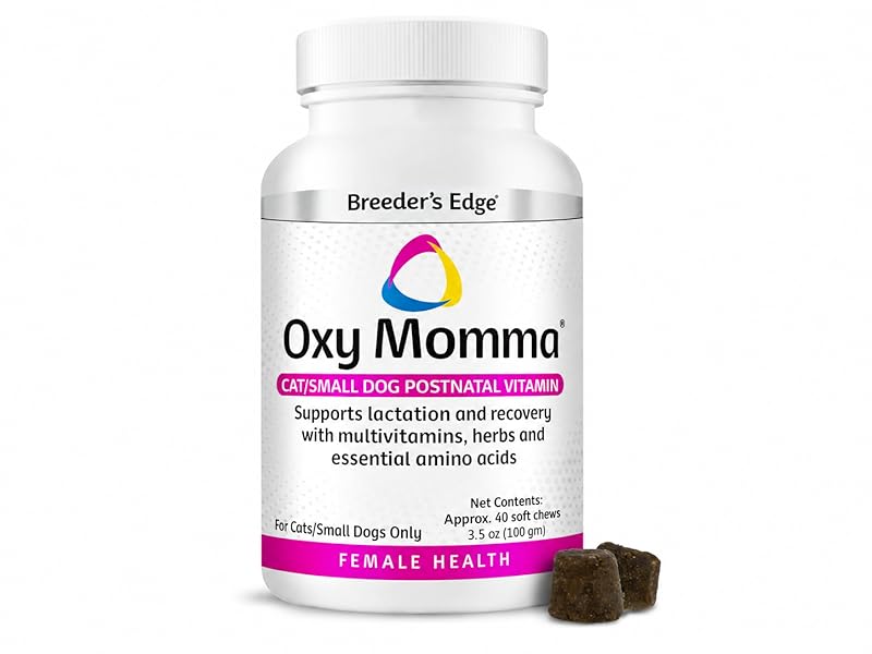 Breeder’s Edge Oxy Momma cat and small dog postnatal vitamin soft chews bottle.