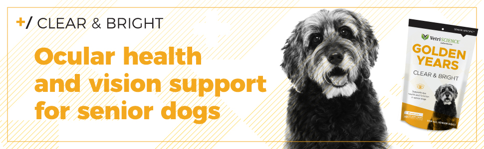 senior canine vision supplement