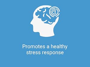 mood, root, supplement, mitochondrial, antioxidant, endurance, chinese, blood, stream,