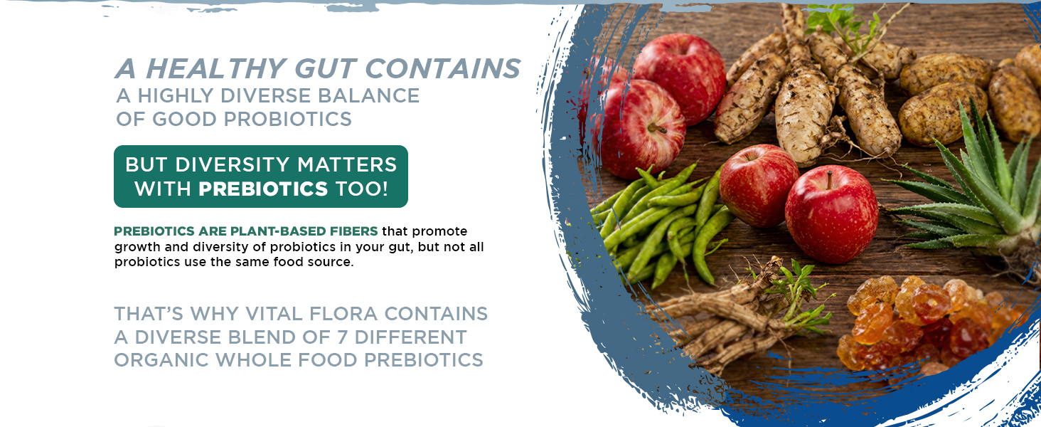 diversity all contain strains probiotics most diverse available delivery highest most best gut