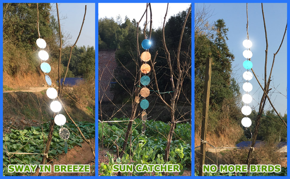 bird scare discs scare birds away