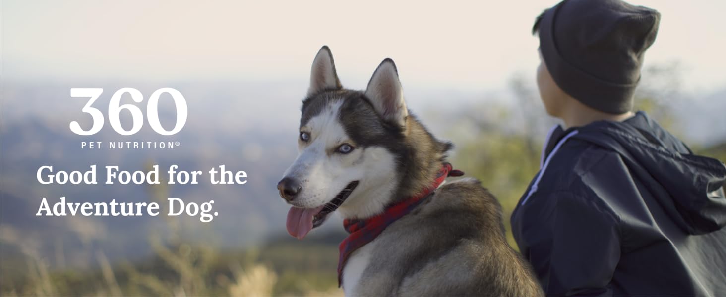 Adventure dog food treats freeze dried dry supplements