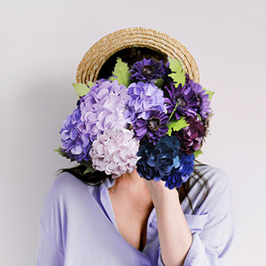 purple hydrangea