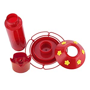 Comes Apart for Easy Cleaning