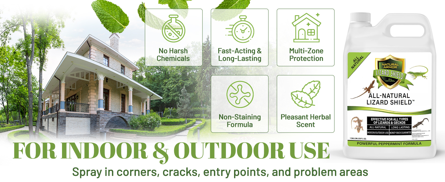 lizard traps for home