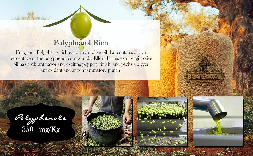 Polyphnol Rich A+ Page