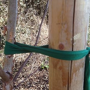 biostretch extra wide green tree ties rubber young stakes plant rings