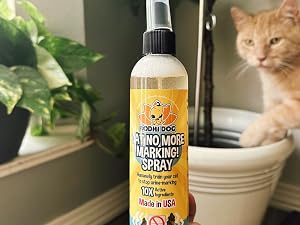 cat next to indoor potted plant, warded from urinating thanks to cat no mark spray in foreground