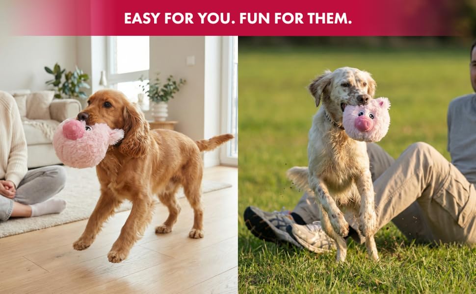 4-inch EZ Squeaky Pig
