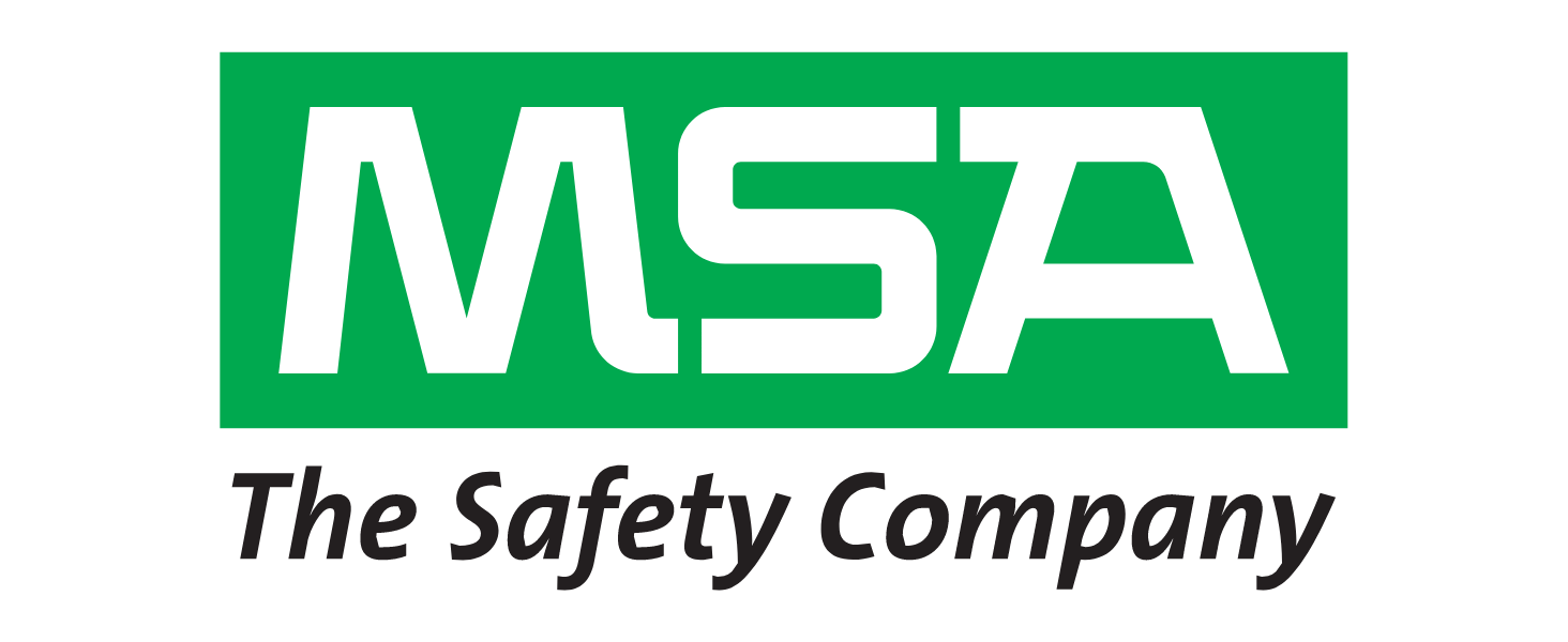 big msa logo