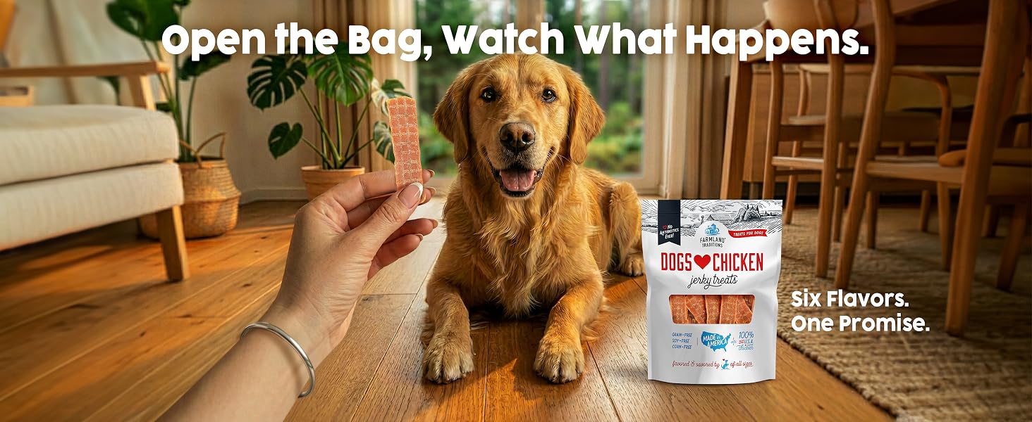 open the bag your dog will love it