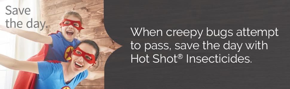 hot shot