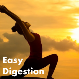 whey isolate protein for easy digestion simple ingredients all natural no chemicals not artificial