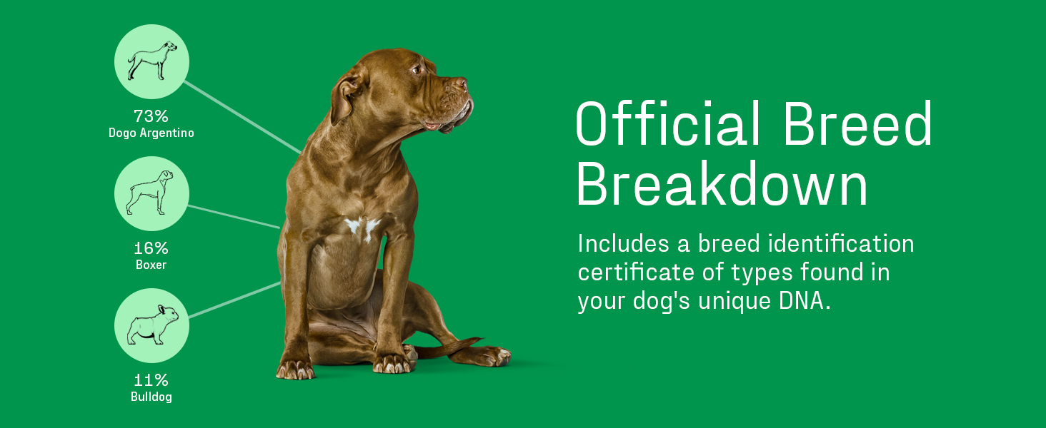 DNA My Dog breed breakdown for dog dna test