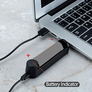 Battery Charger