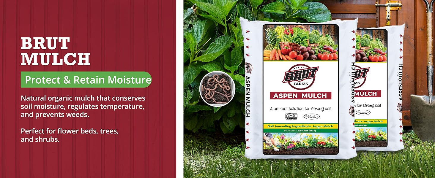 dirt outdoor potting soil indoor plant soil potting mix soil for plants
