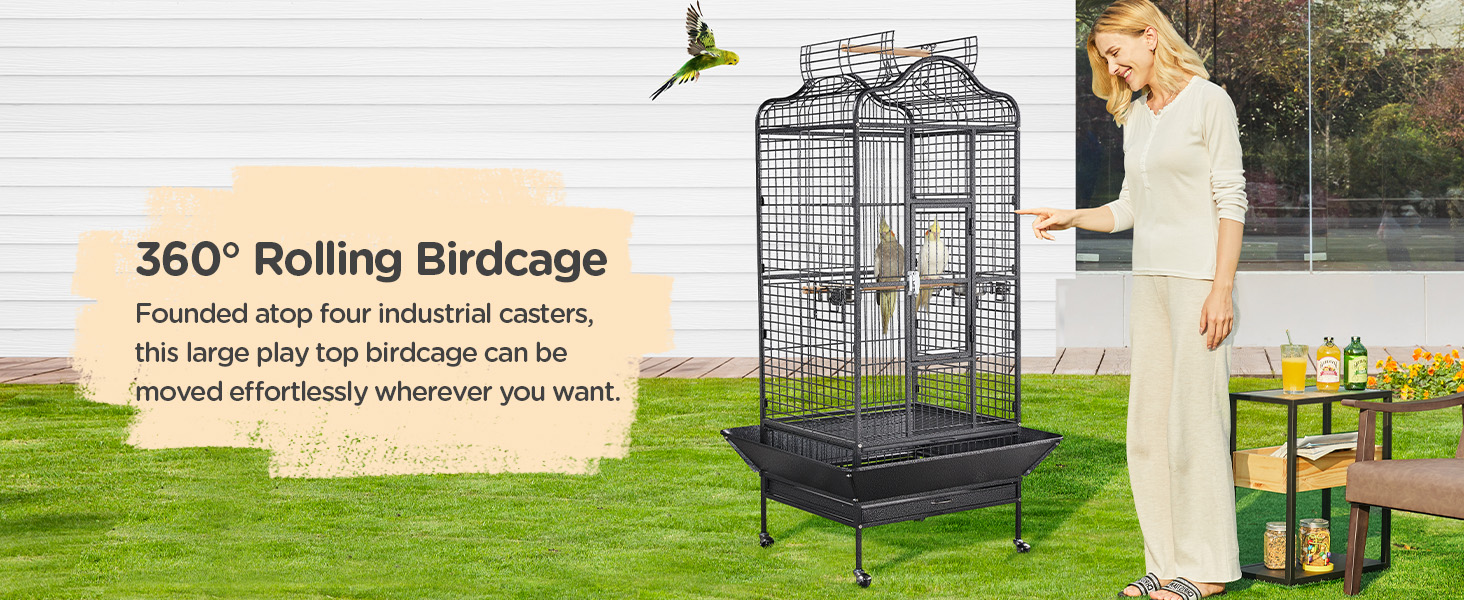 bird cage