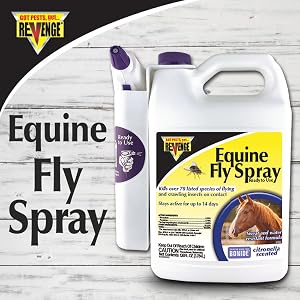 fly salt knat housefly bug house flytraps drain bugassault saltgun fruit fky flytrap indoor flybags