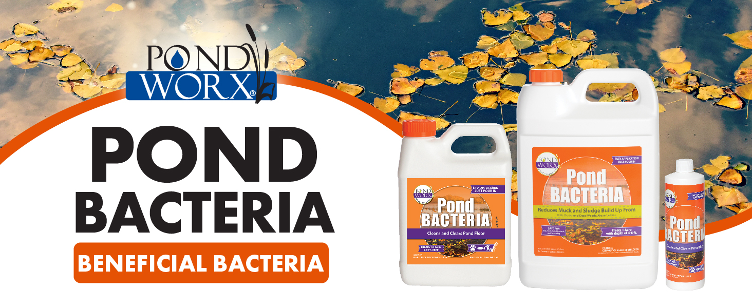 Pond Worx Pond Bacteria