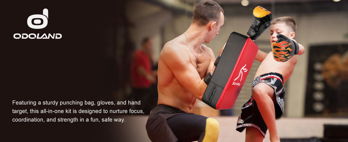 Punching Mitts Kick Pack Set