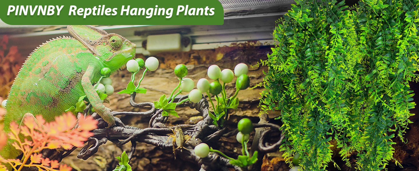 Reptile Plants