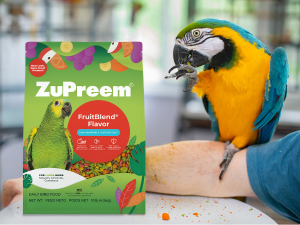 parrot food for large birds lovebird food african grey parrot food cockatiel waste free bird seed