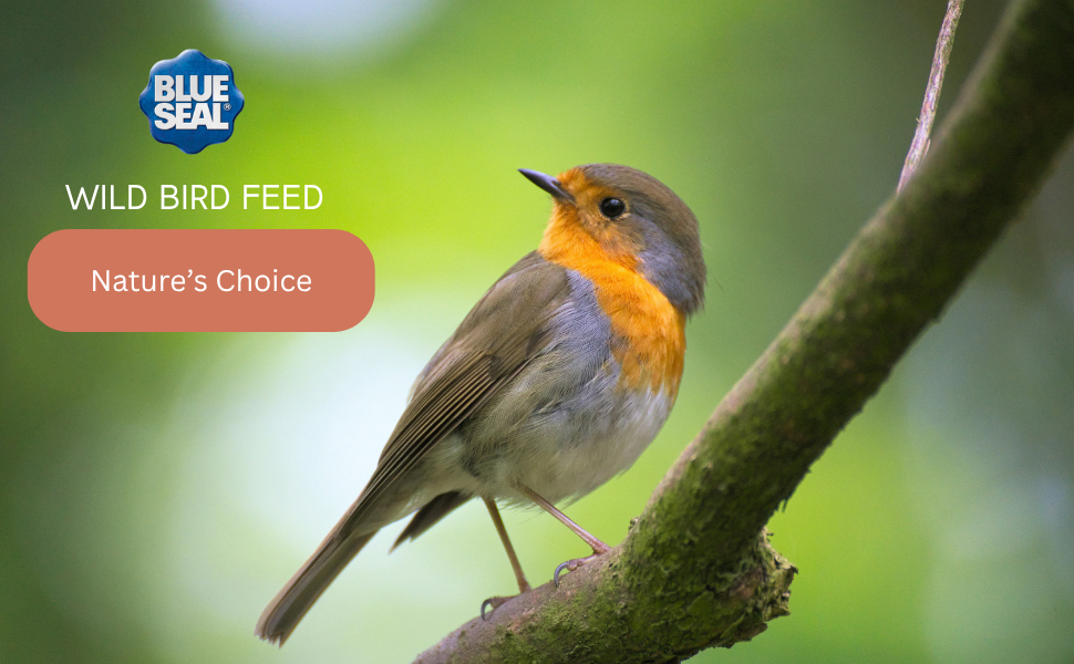 Nature&amp;#39;s Choice Wild Bird Seed 4