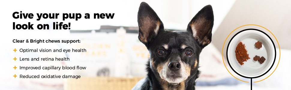 senior canine vision supplement