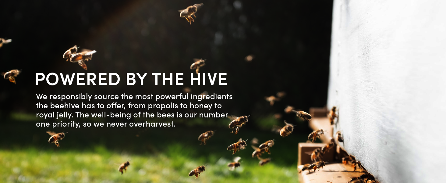powered by the hive