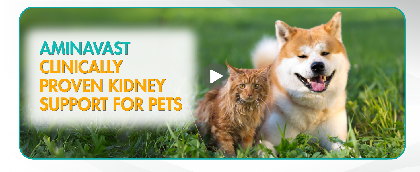 aminavast for cats, aminavast for dogs, cat kidney support, kidney support for cats
