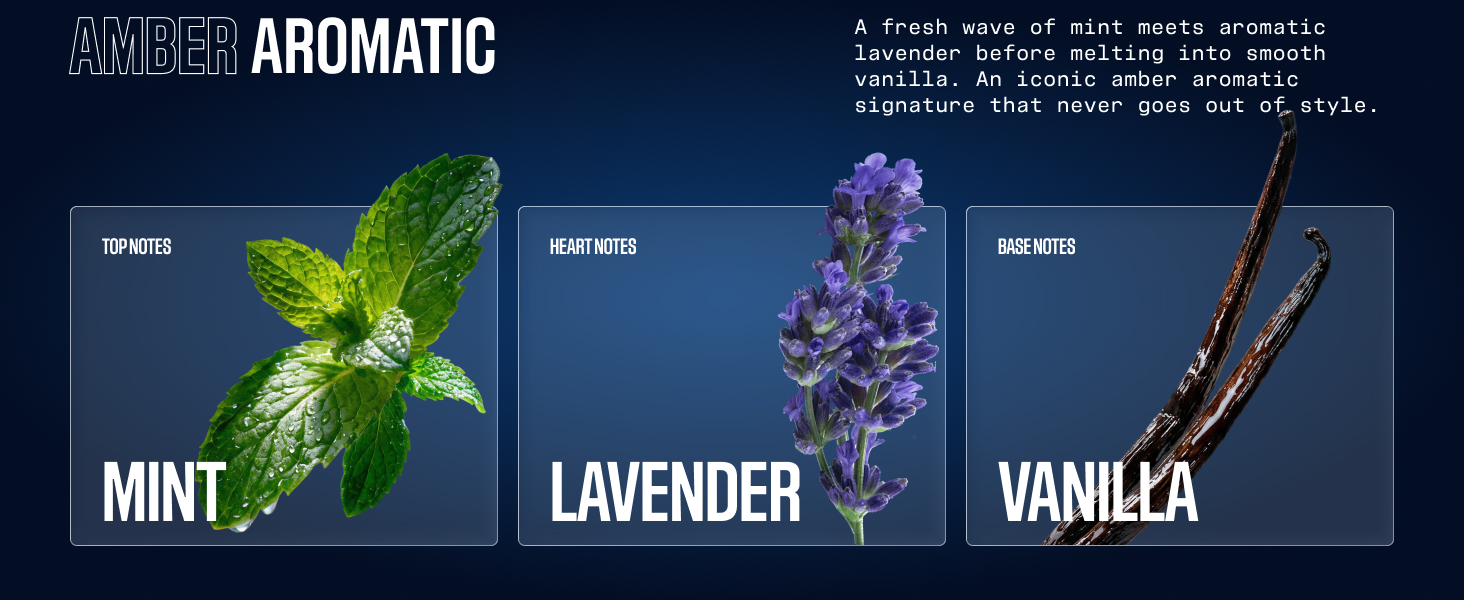 luxury perfume for men aromatic amber mint lavender vanilla