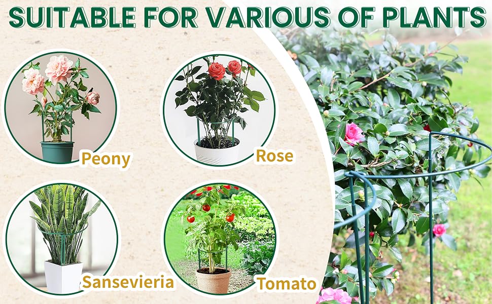 plant supports