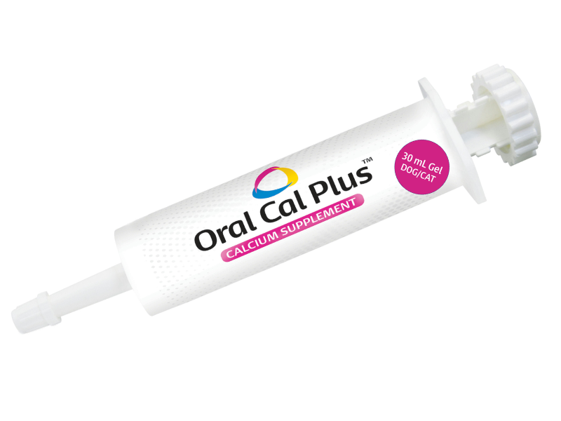 Breeder’s Edge Oral Cal Plus calcium supplement syringe and box for dogs and cats