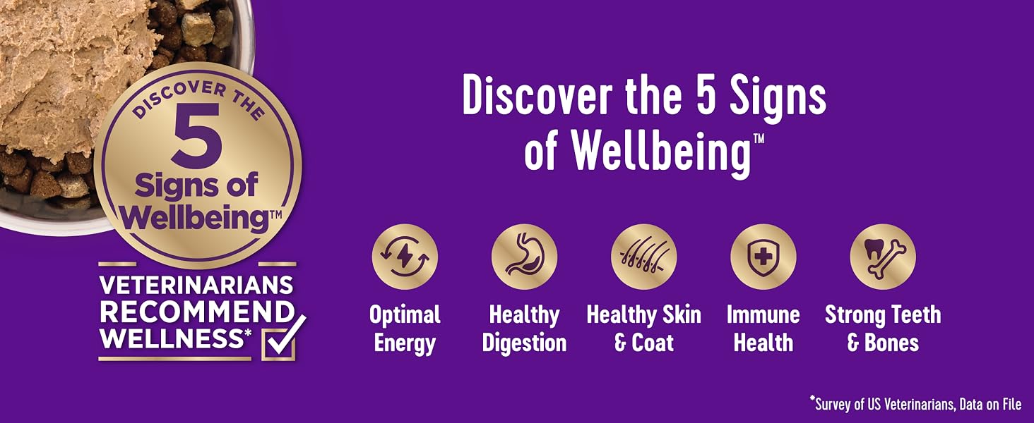 Discover the 5 Signs of Wellbeing