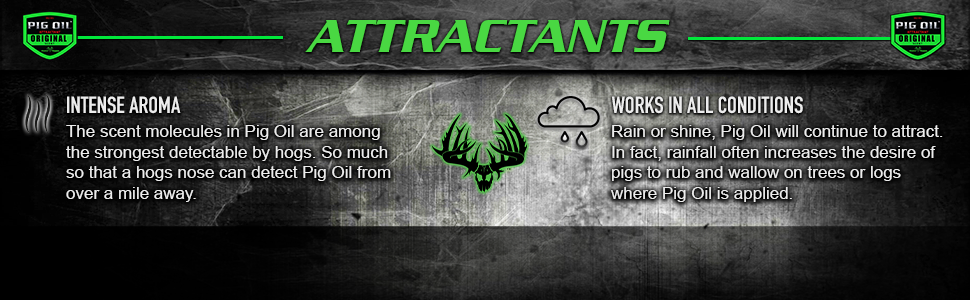 Attractants Pig Oil Overview