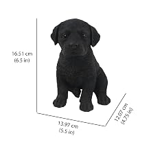 Labrador Puppy Statue_Dimensions