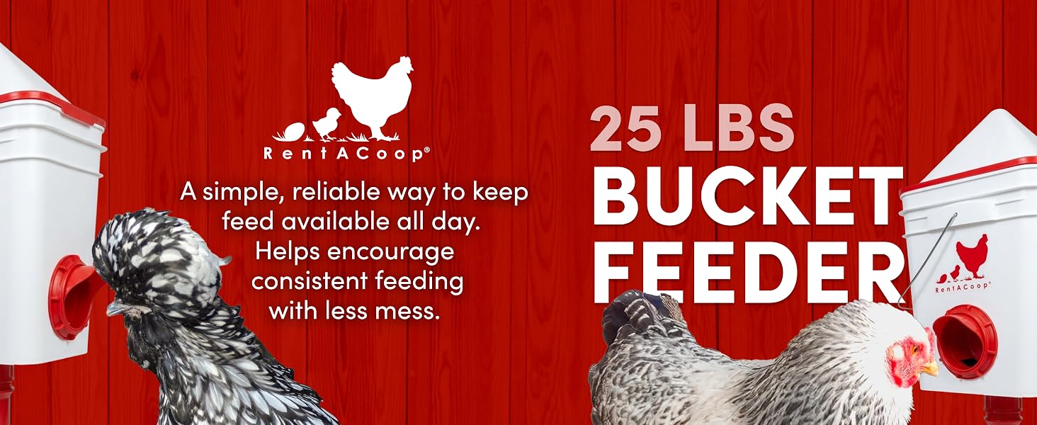 RentACoop 25lb Bucket Feeder with Adjustable Stand
