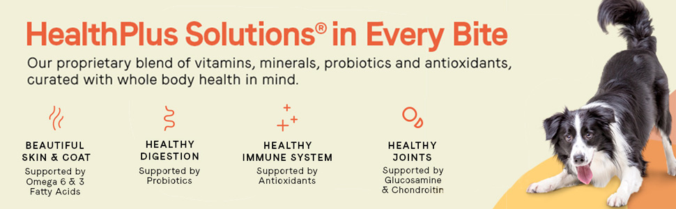 HealthPlus Solutions in Every Bite