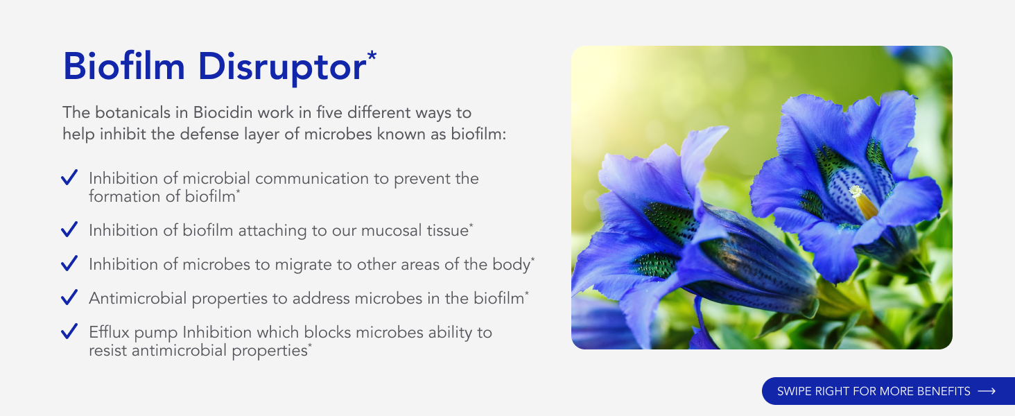 Broad-Spectrum Botanical Drops for Microbiome Balance Biofilm Buster Gut Detox Cleanse Routine