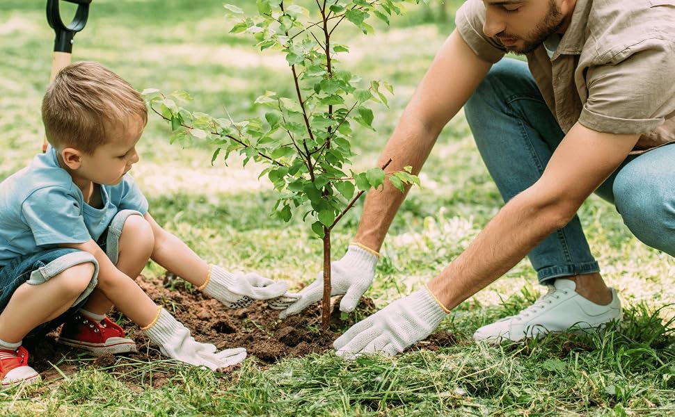 detailed planting and care instructions