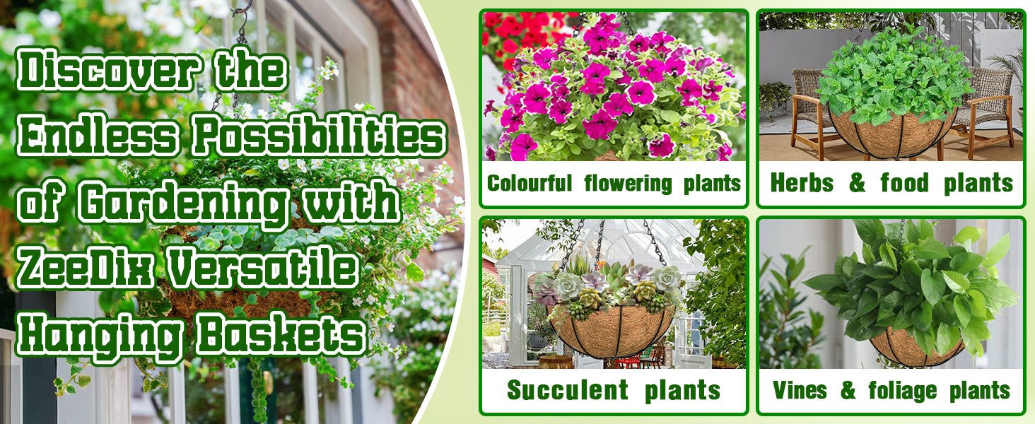 Discover the Endless Possibilities of Gardening with ZeeDix Versatile Hanging Baskets