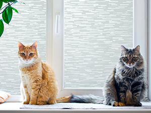 window privacy film