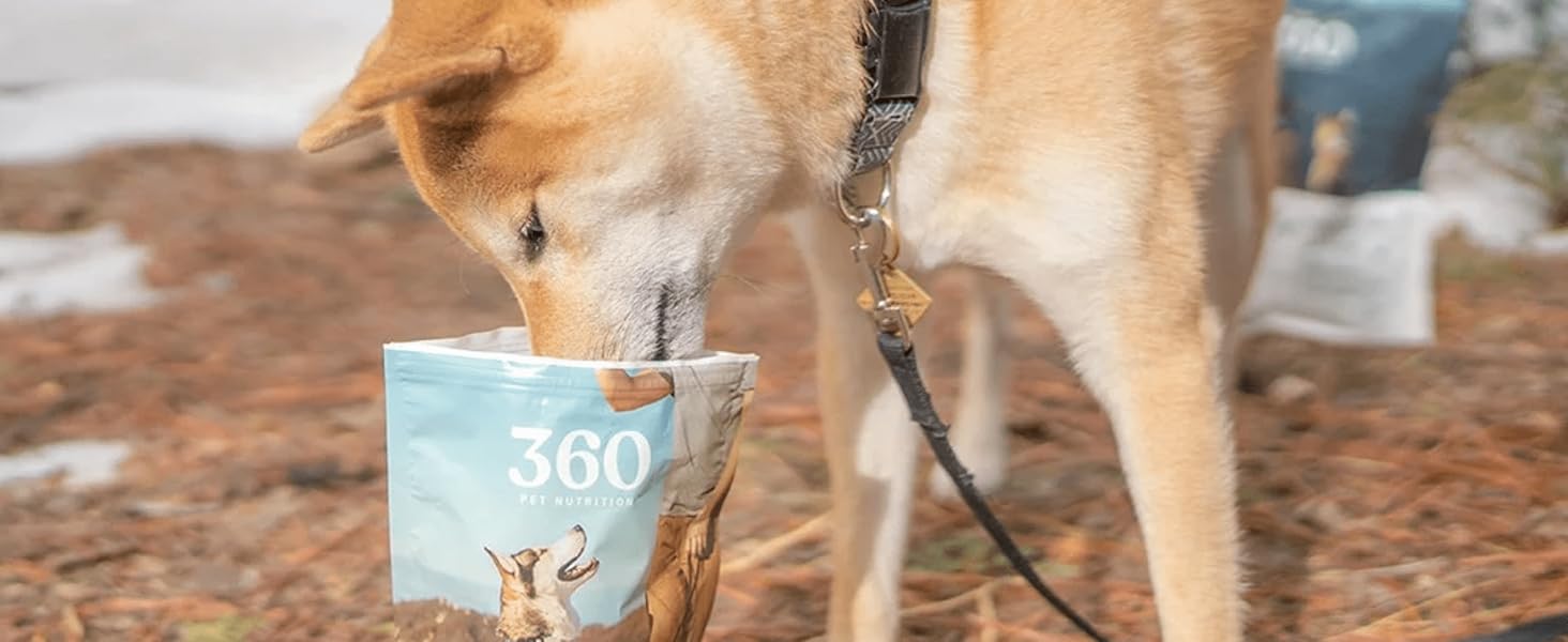 freeze dried raw dog treats food